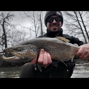 Meet your Posher, Justin